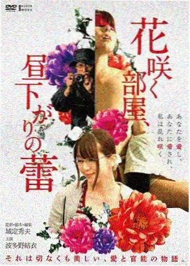 创作者收入分析